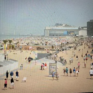 https://casa-flamingo.hotelsghent.com